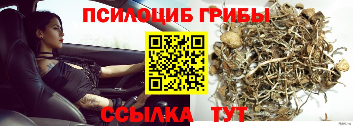 Псилоцибиновые грибы MAGIC MUSHROOMS  Вход с VPN  Буйнакск 