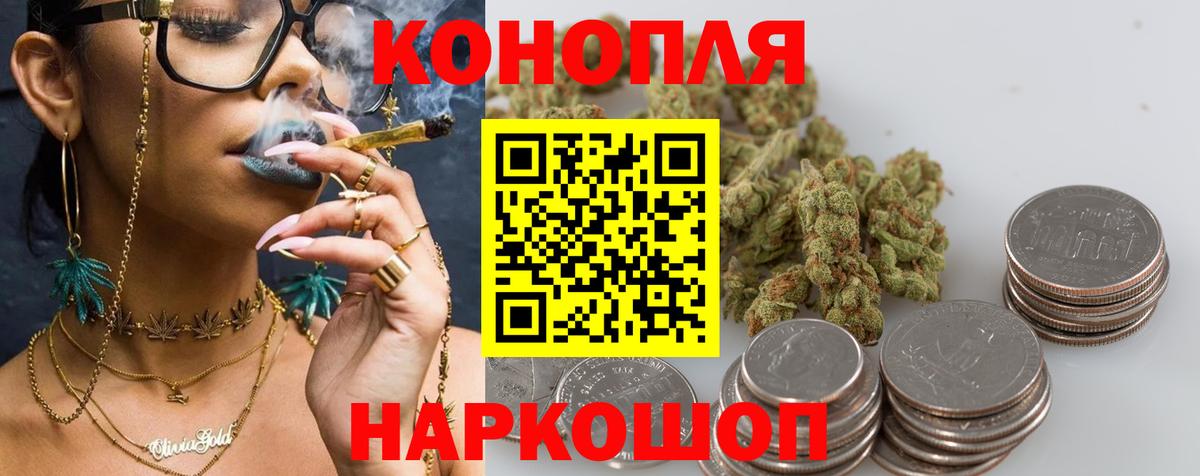 Бошки Шишки семена Буйнакск